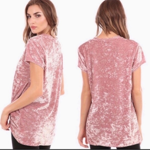 Hummingbird Dusty Rose Crushed Velvet Twist Front Short Sleeve Top - Picture 2 of 4